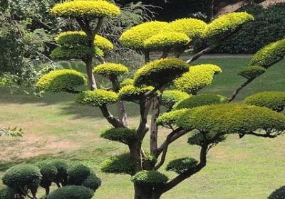 表达感情深切的词语(合集80句)