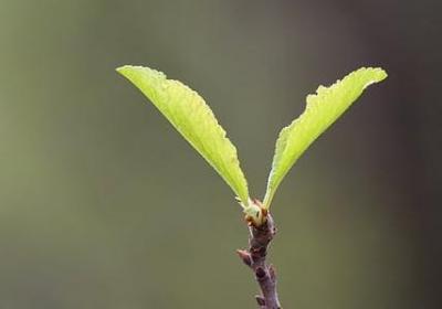 描写蓝天的词语(精选61句)