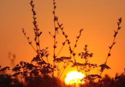 描写身材好的词语(通用80句)