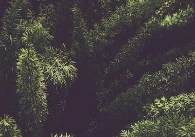 描写时间极短的词语(通用50句)