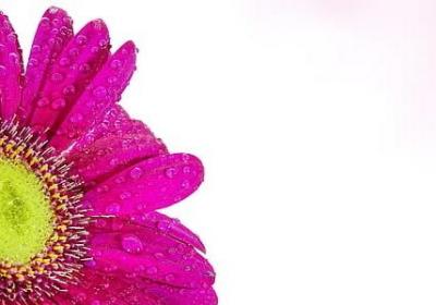 描写秋天的四字词语大全(共21句)