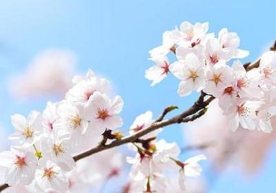 整可以组什么词语(优选50句)