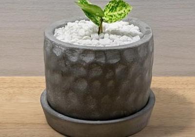 描写老人外貌的词语(汇总41句)