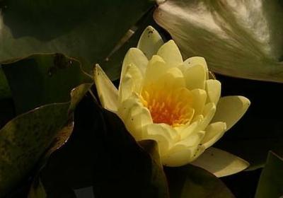 描写老师神态的词语(必备70句)