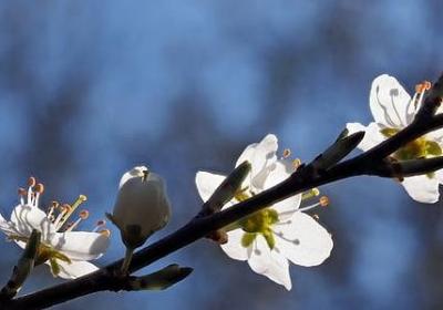 提高搭配的词语(合集80句)