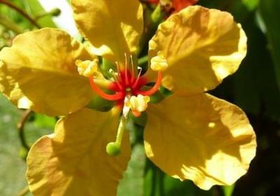 描写海的词语(共61句)