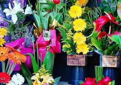 早上形容太阳的词语(共80句)