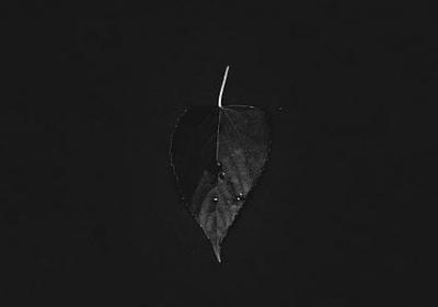 新的代替旧的的词语(合集59句)