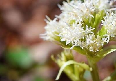 描写水面词语(精选59句)