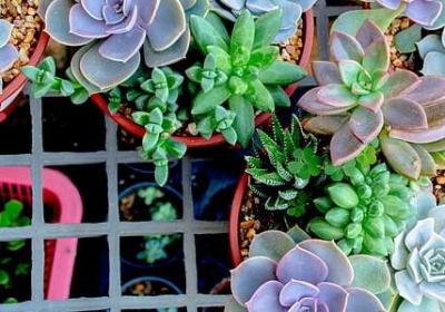 描写秋景词语(共70句)