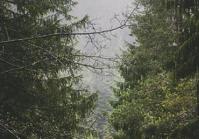朝组词有哪些词语(必备16句)