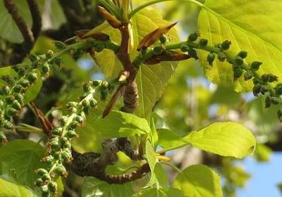 描写死的词语(通用60句)