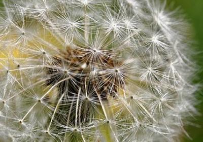 提能组什么词语(实用50句)