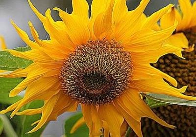 描述医生的词语(共12句)