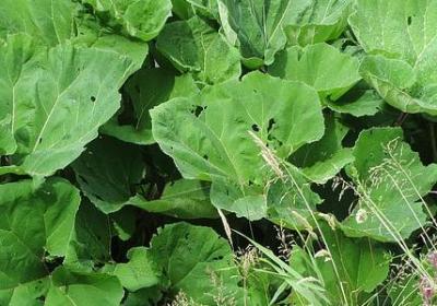 敢能组什么词语(热门80句)