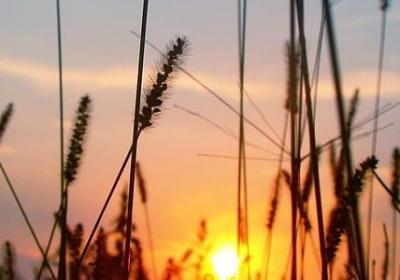 新鲜解释词语(20句)