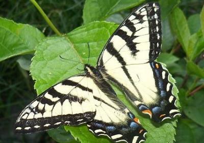 时间过得什么填词语(20句)