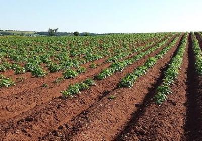 描写春雨的四字词语(推荐58句)