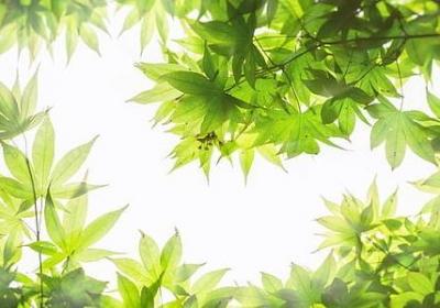 春心荡漾词语解释(汇总93句)