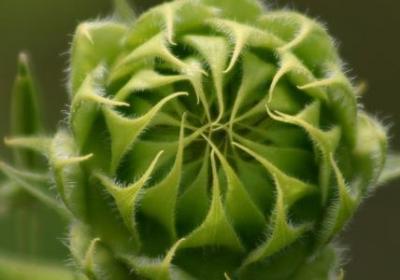 瞧不起的词语(推荐50句)