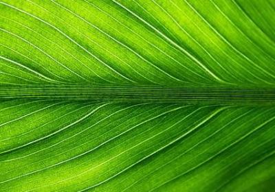 表示想念的词语有哪些(热门53句)