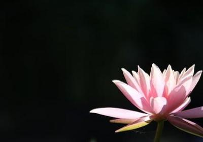 跑步的四字词语(推荐50句)