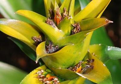 描写月亮的词语四字(汇总47句)