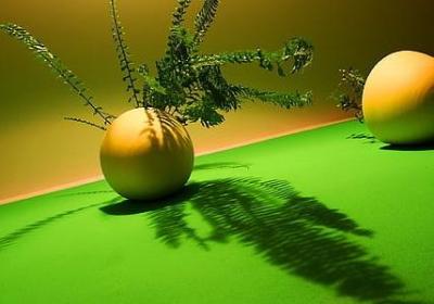 搪组词有哪些词语(合集21句)