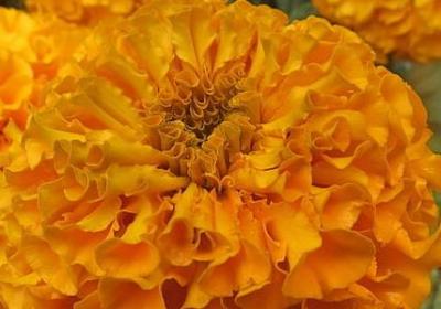 教怎么组词语(通用60句)