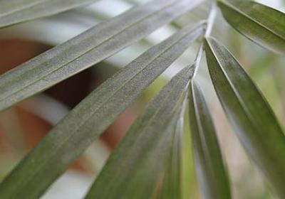 搜字四字词语(必备40句)