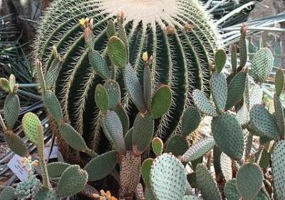 摇一摇类似的词语(80句)