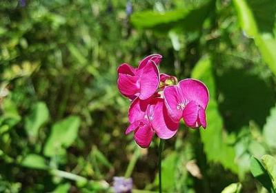 描写玻璃的词语(优选51句)