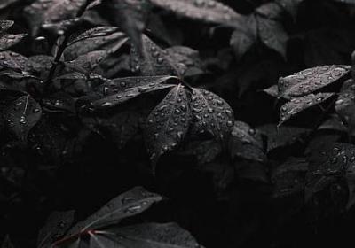 绿油油一样的词语(推荐50句)