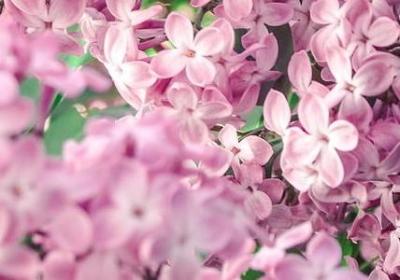 钻进钻出照样子写词语(实用40句)