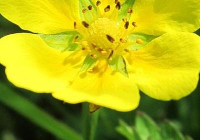 描写鲁迅的四字词语(合集40句)