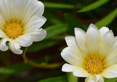 描写男孩的词语(共61句)