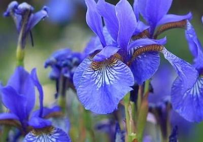 教的词语有哪些(实用12句)