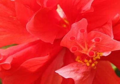 搞笑的词语4个字(通用40句)