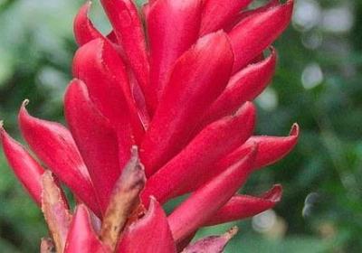 类似顶天立地的词语(汇总40句)