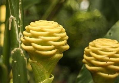 经历过很多艰难困苦的词语(推荐10句)