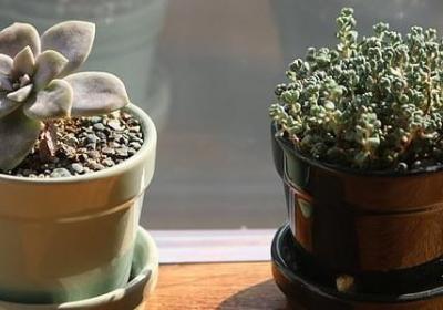 给老师的祝福词语(汇总50句)