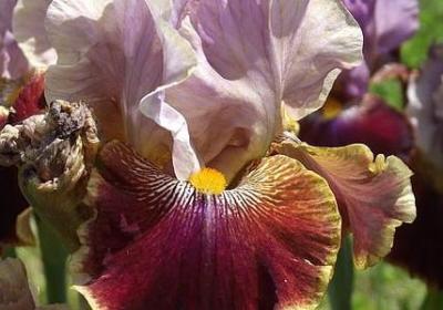 描述风景的词语(热门40句)