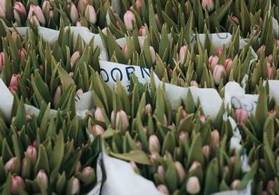 摸换偏旁组词语(推荐40句)