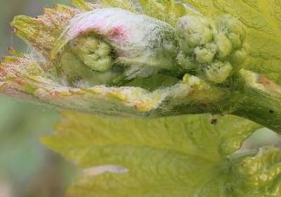 攻组四字词语(汇总70句)