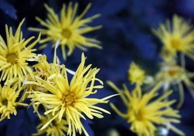 搞笑的二字词语(通用20句)