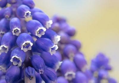 描述死亡的词语(共81句)