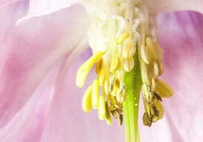 描述美女的词语(实用80句)