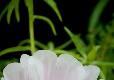 时间过得快的词语(汇总50句)