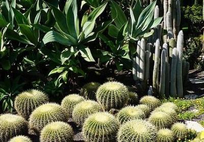 汉语词语日日夜夜(推荐60句)
