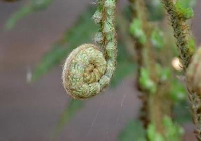 沫组词有哪些词语(必备41句)